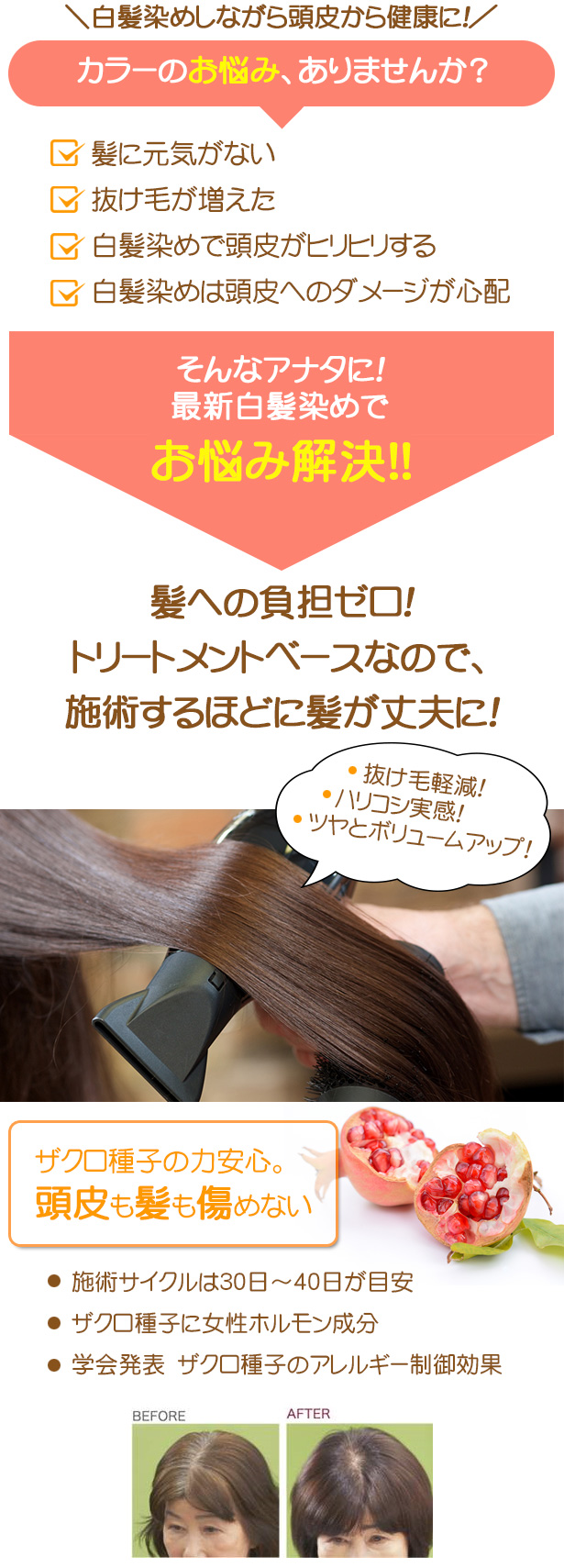 輝髪サラツヤ ザクロペインター | リフレッシュサロンナック