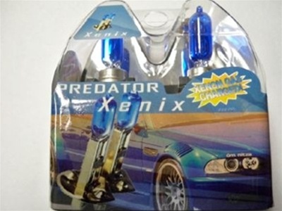 KAWASAKI ZX14 03-09 HIGH AND LOW BEAM SUPER BLUE BULBS