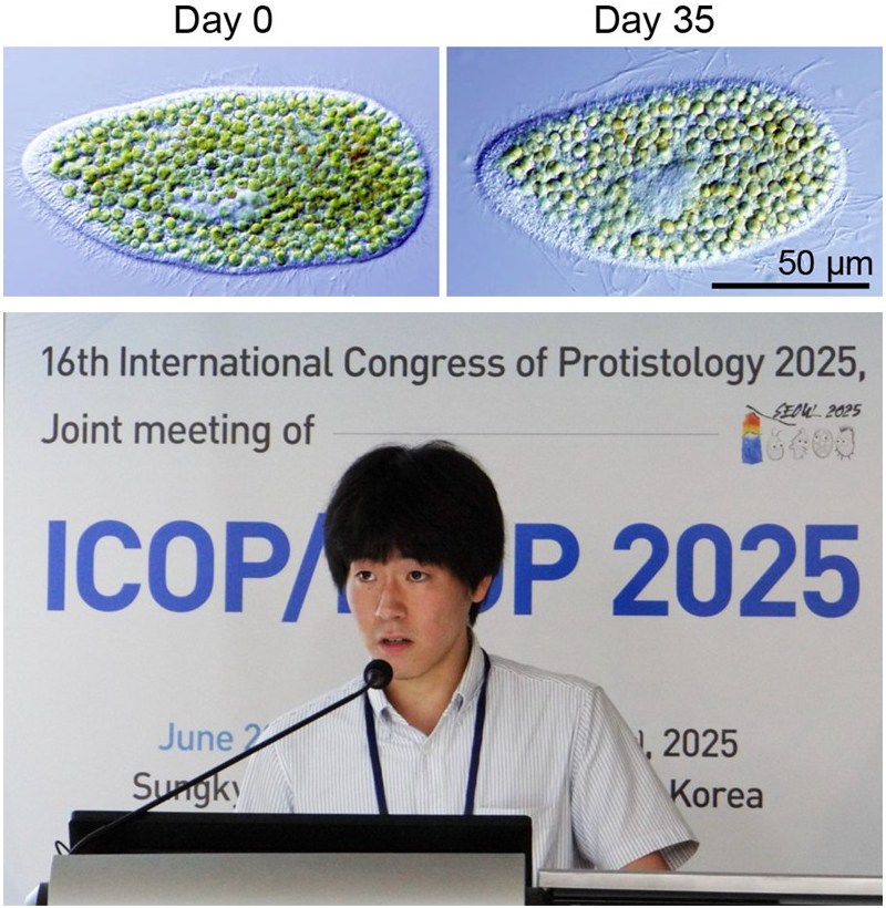 10月 | 2025 | 国立遺伝学研究所