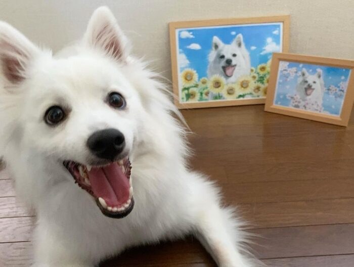 ペット似顔絵のモデルさん2 - ペット似顔絵の制作-似顔絵の家