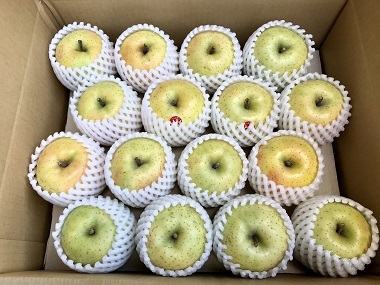 11月のりんご 青森りんごの通販・お取り寄せ・販売なら西村りんご園