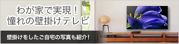 SU-WL500 | テレビ ブラビア | ソニー