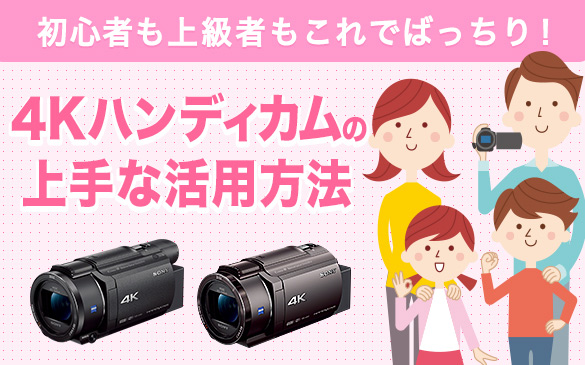 NP-FV100A | デジタルビデオカメラ Handycam ハンディカム | ソニー