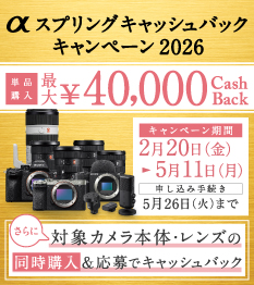 デジタル一眼カメラα（アルファ） | ソニー