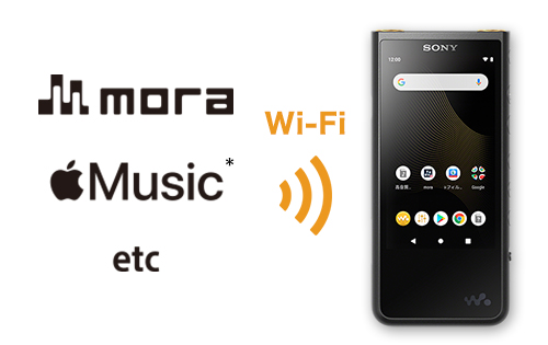 NW-ZX500シリーズ 特長 : 転送 | ポータブルオーディオプレーヤー