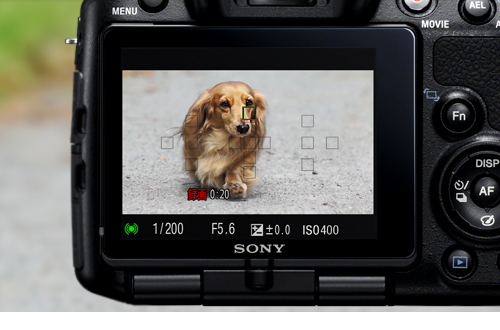 α65 特長 : フルハイビジョン動画 | デジタル一眼カメラα（アルファ