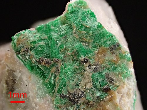 かだいおうち Advanced Course