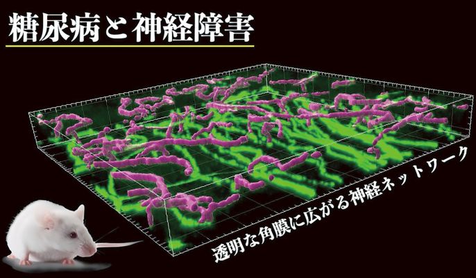 摂南大学薬学部公式HP/Setsunan Pharm Official