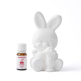 HONESTBOY x BALLON x SECRETBASE AROMA ORNAMENT | STUDIO SEVEN