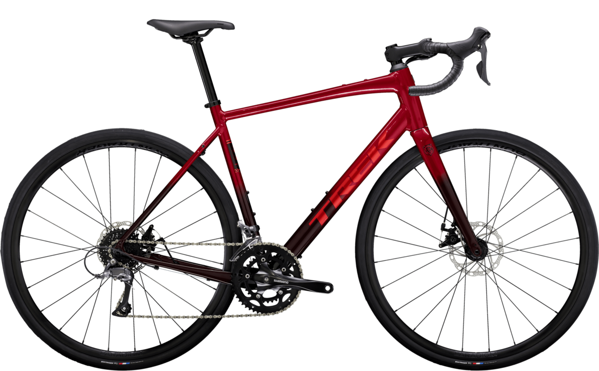 Trek Domane AL 2 Gen 4 - Trek Bicycle Store of Charlotte | North