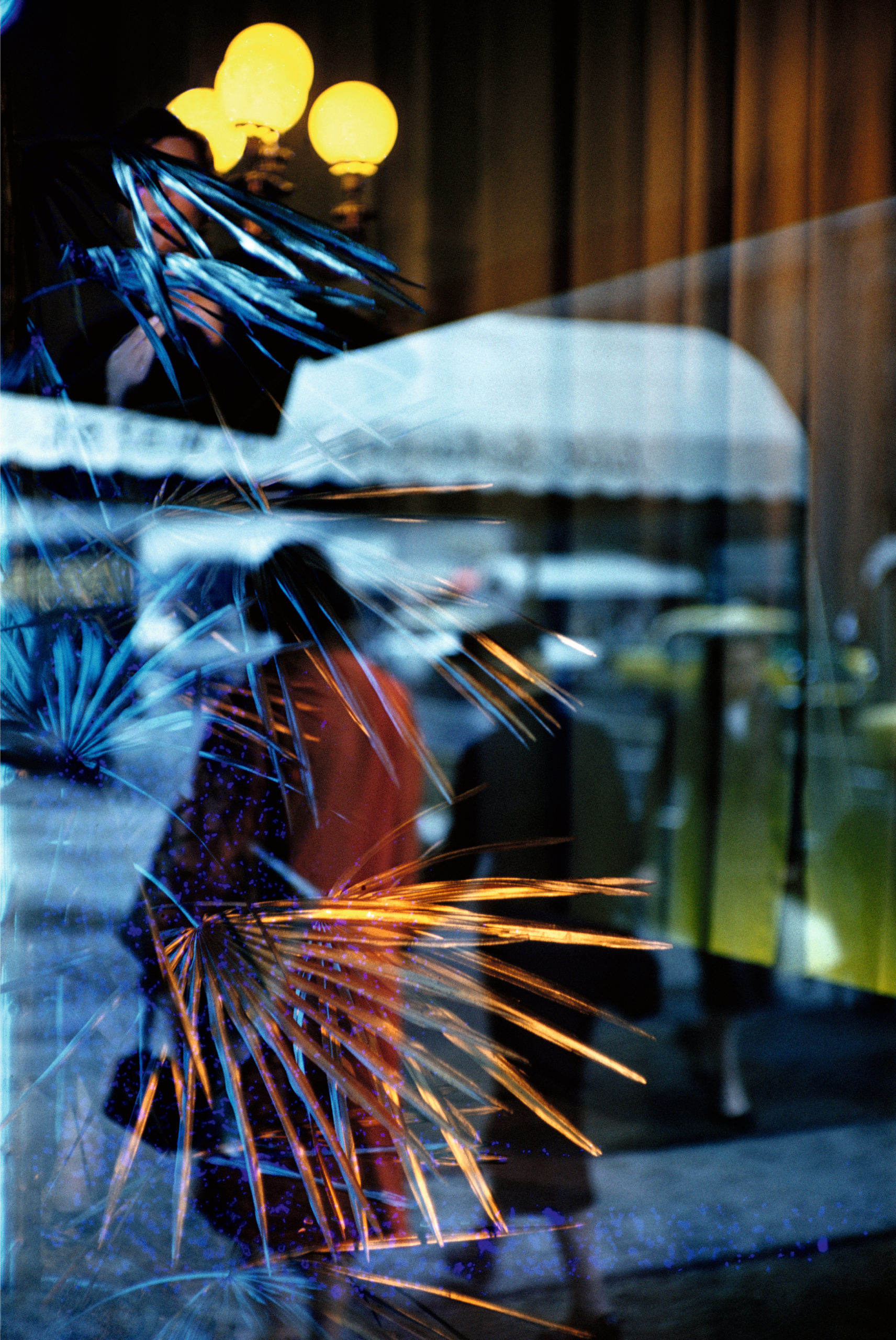 ソール・ライター Saul Leiter | 青幻舎 SEIGENSHA Art Publishing, Inc. |