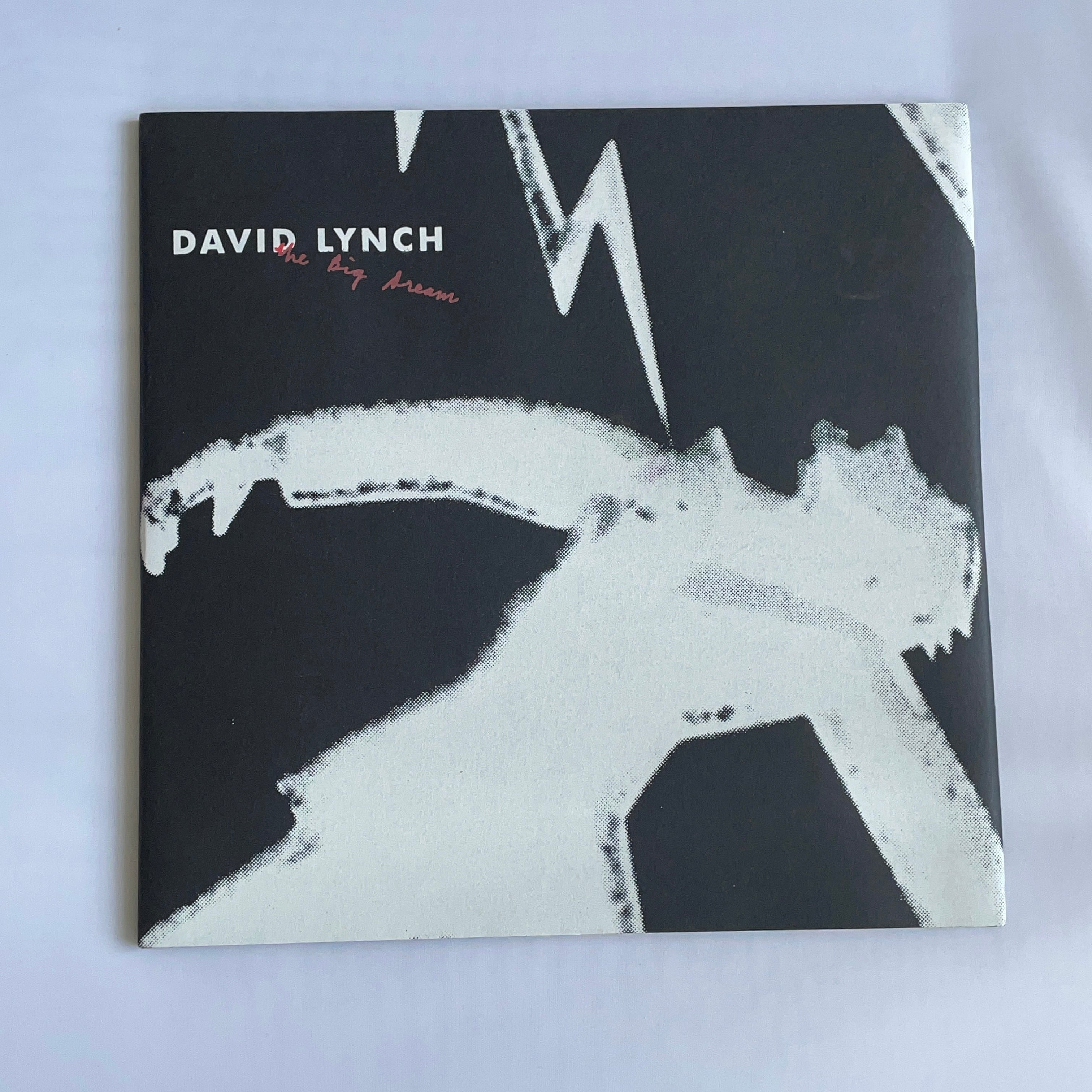 The Big Dream | Sacred Bones Records