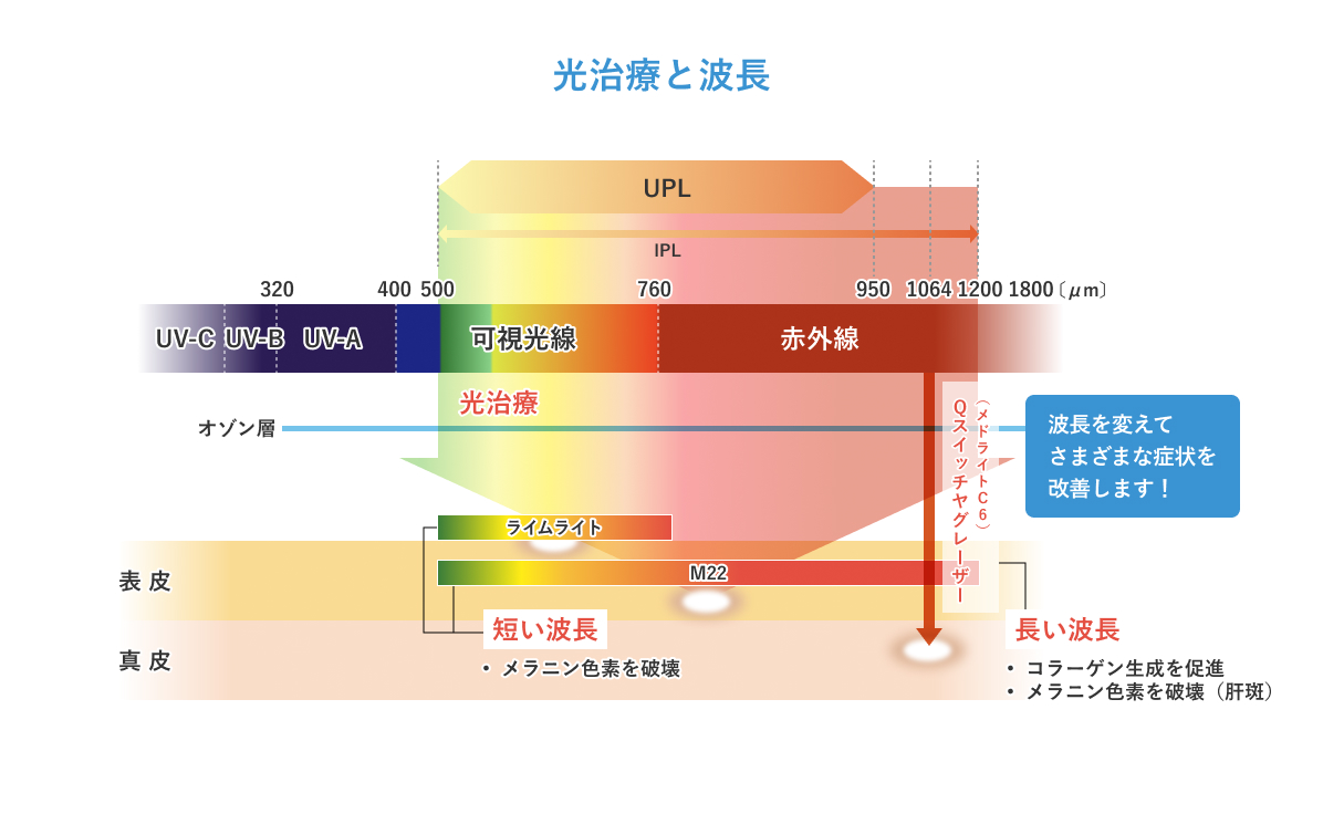 ステラM22 | 恵比寿院(東京都渋谷区)｜美容皮膚科シロノクリニック