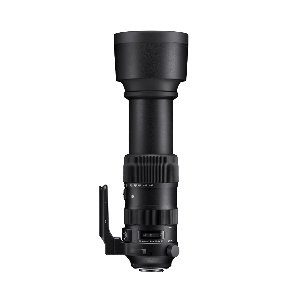60-600mm F4.5-6.3 DG OS HSM | LENSES | Sigma