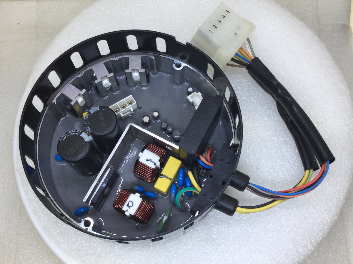 PhotoAug282025_84503AM_1200x.