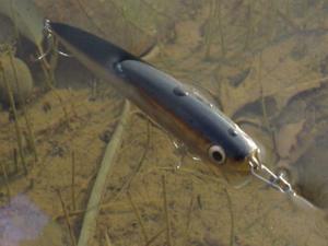 concept of cotocas | sumlures