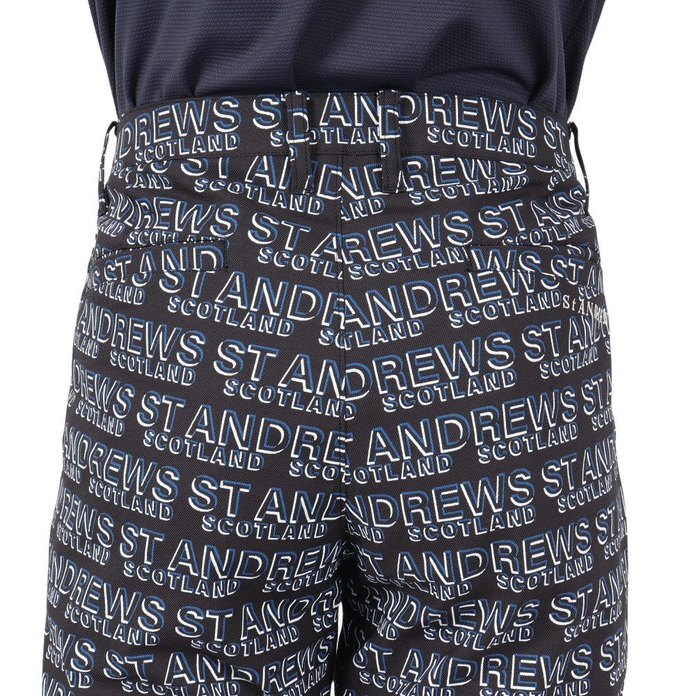 セントアンドリュース（ST.ANDREWS）（メンズ）ゴルフウェア デジタル