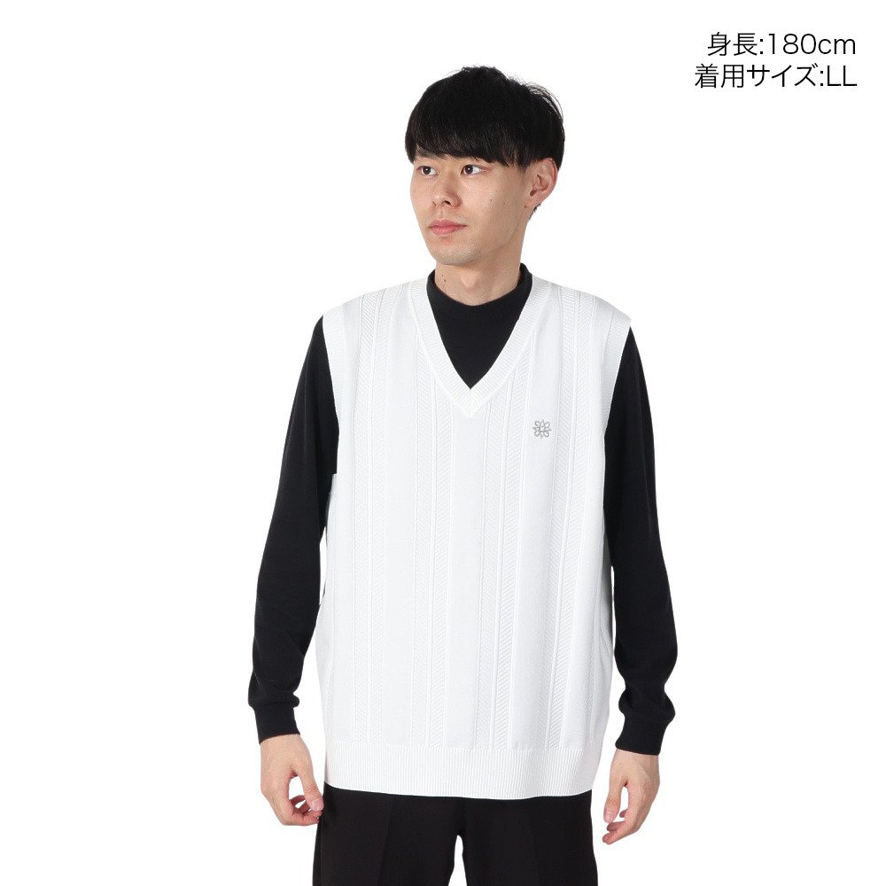 セントアンドリュース（ST.ANDREWS）（メンズ）ゴルフウェア 12G V地柄