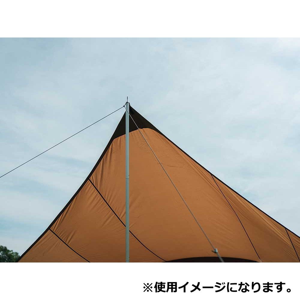 スノーピーク（snow peak） 【雪峰祭限定】 タープ キャンプ コネクト