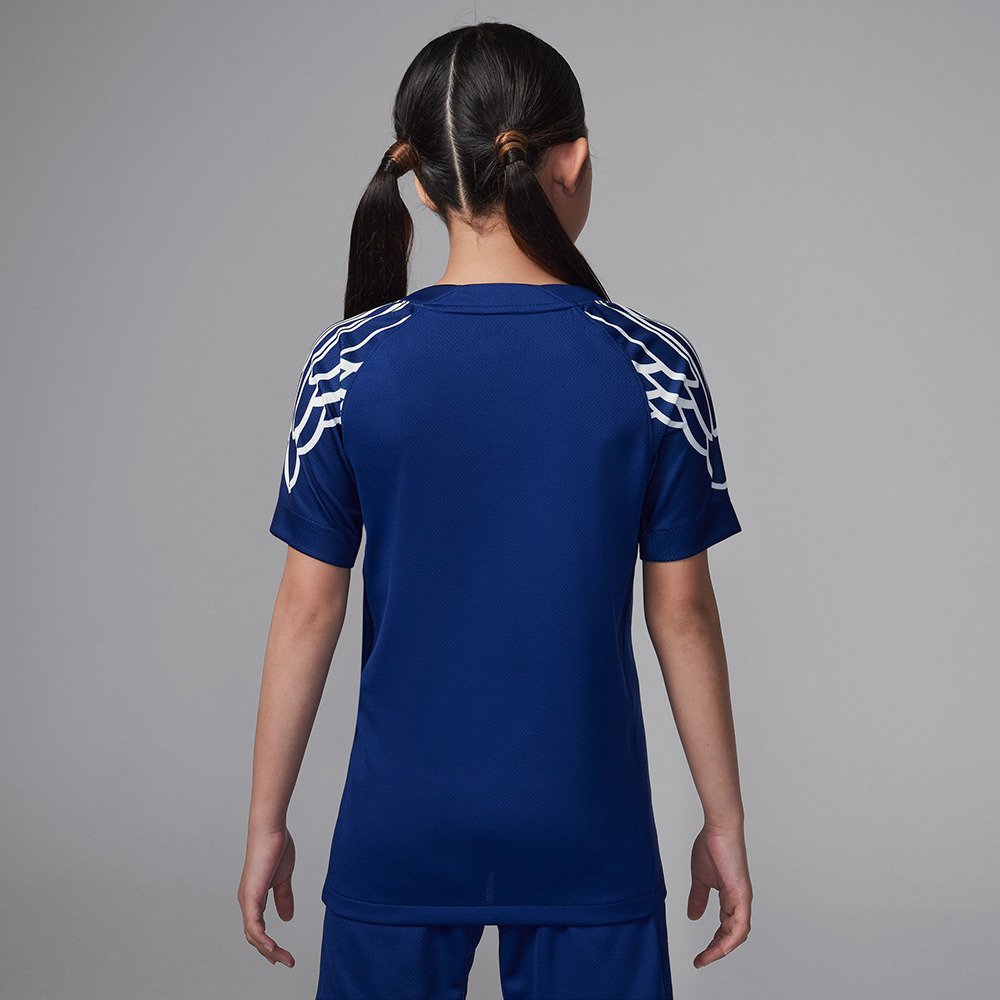 ナイキ（NIKE）（キッズ）キッズ PSG パリサンジェルマン ドライ