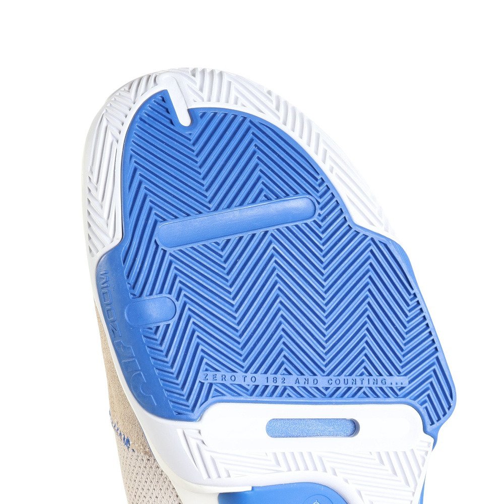 ジョーダン（JORDAN）（メンズ）バスケ シューズ バッシュ ワン テイク