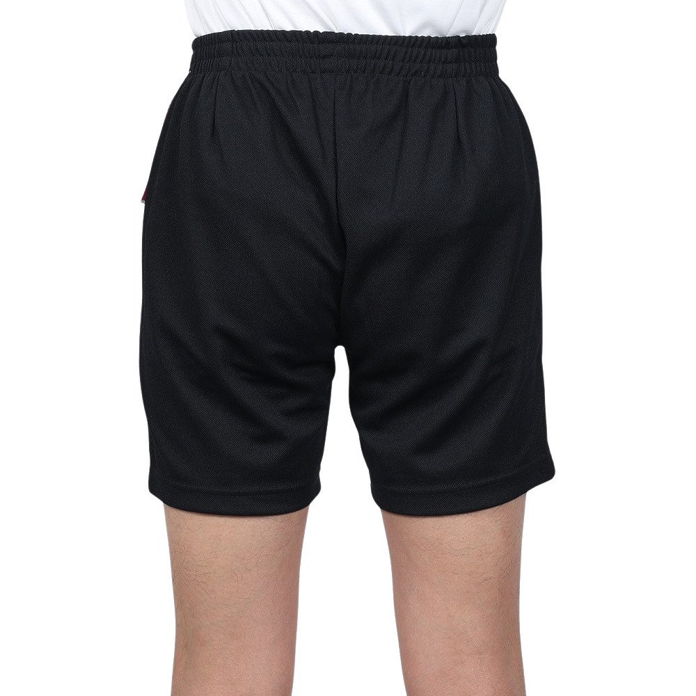 デサント（DESCENTE）（メンズ、レディース）バレーボールウェア