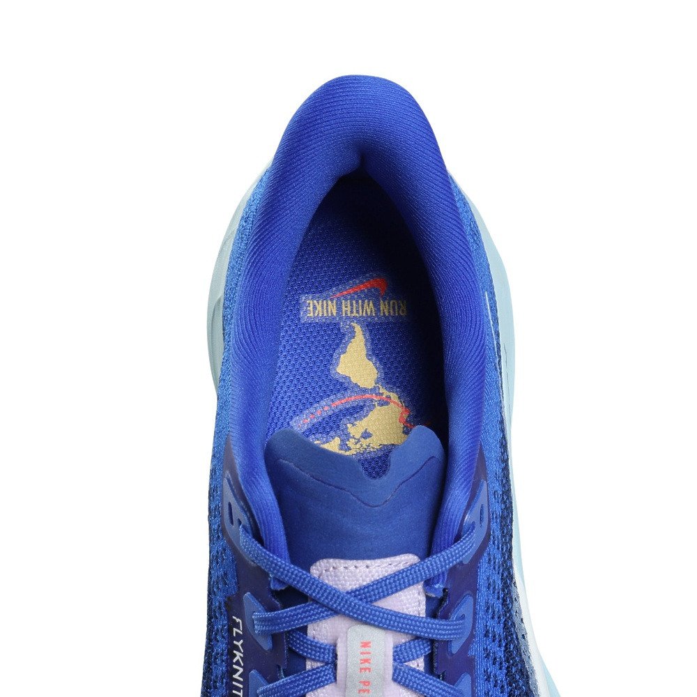 ナイキ（NIKE）（メンズ）ランニングシューズ ジョギングシューズ