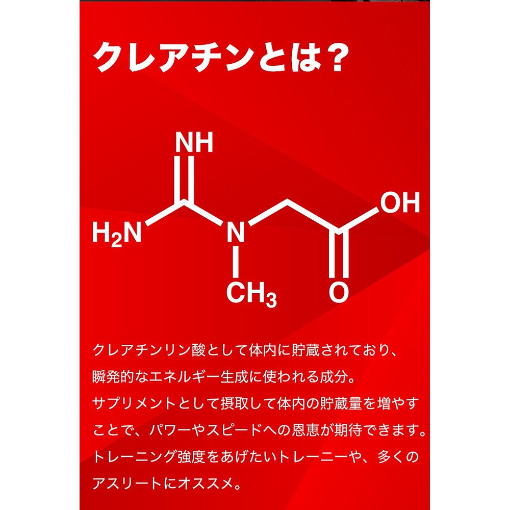 ディーエヌエス（DNS）（メンズ、レディース）IC23 クレアチン 200g