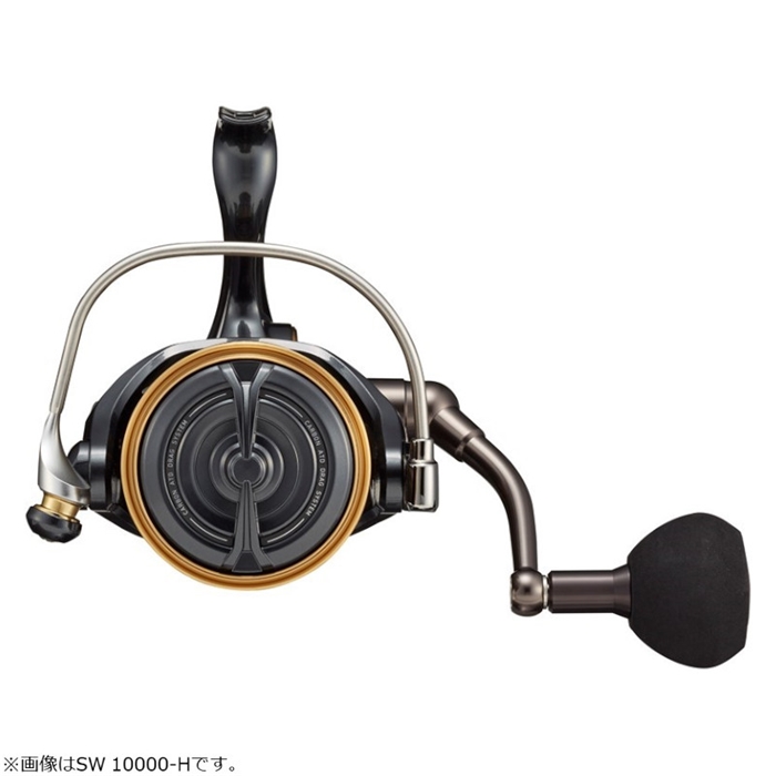 ダイワ カルディア SW 10000-P 23年追加モデル - 釣具のポイント