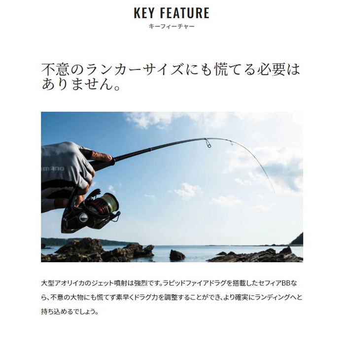 シマノ セフィア BB C3000SHG 22年モデル エギングリール - 釣具の