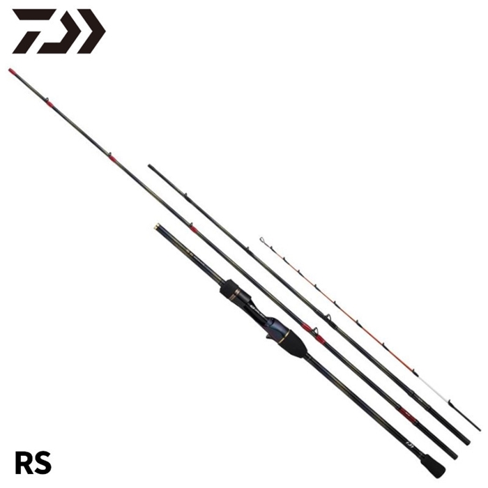 ダイワ 極鋭 マルイカ EX RS 24年モデル - 釣具のポイント 【公式