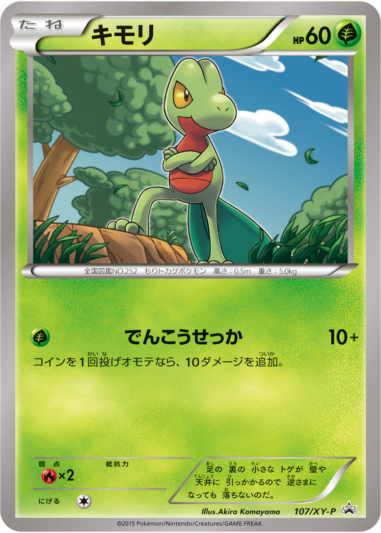 キモリ | ポケモンカードゲーム公式ホームページ
