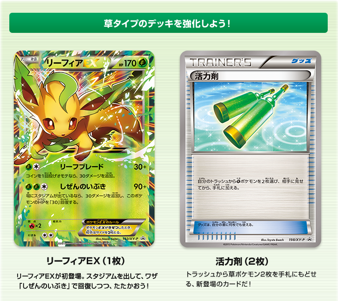 一挙公開！「バトル強化セット 草/闘」 | ポケモンカードゲーム公式