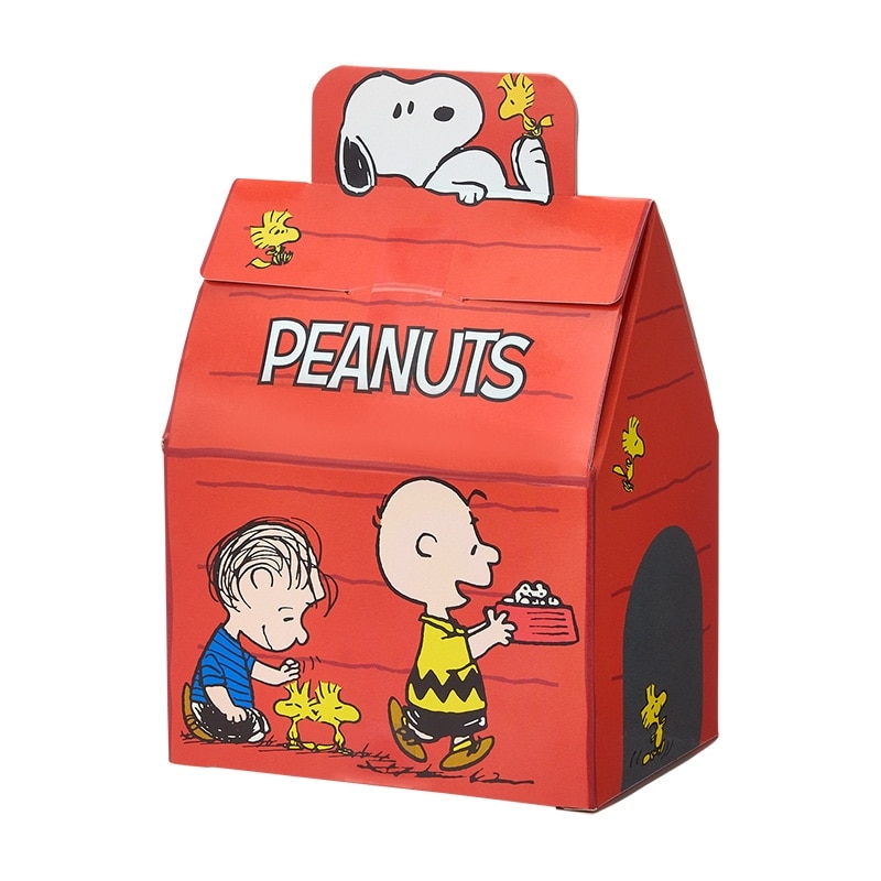 スヌーピー PEANUTS ハウススイーツ ボックス(チョコチップクッキー