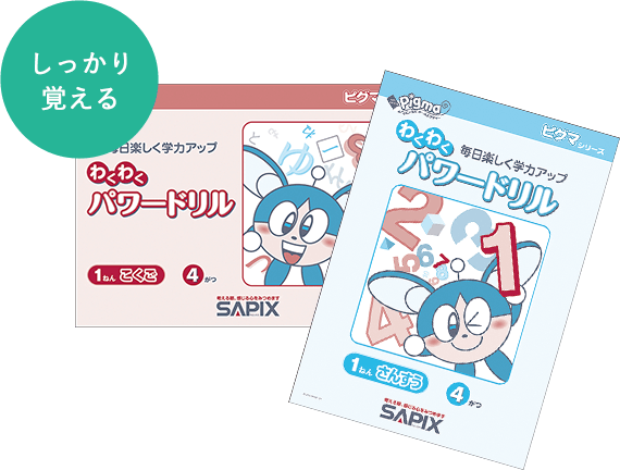 1年分 SAPIXピグマ小1 サピックスピグマ 1年生 SAPIX 入室テスト