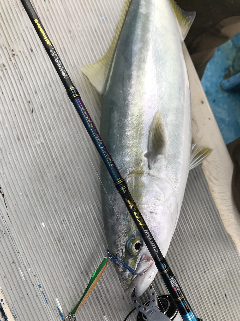 Salty Stage KR-X Super Light Jigging MobileⅢ (ソルティステージ KR