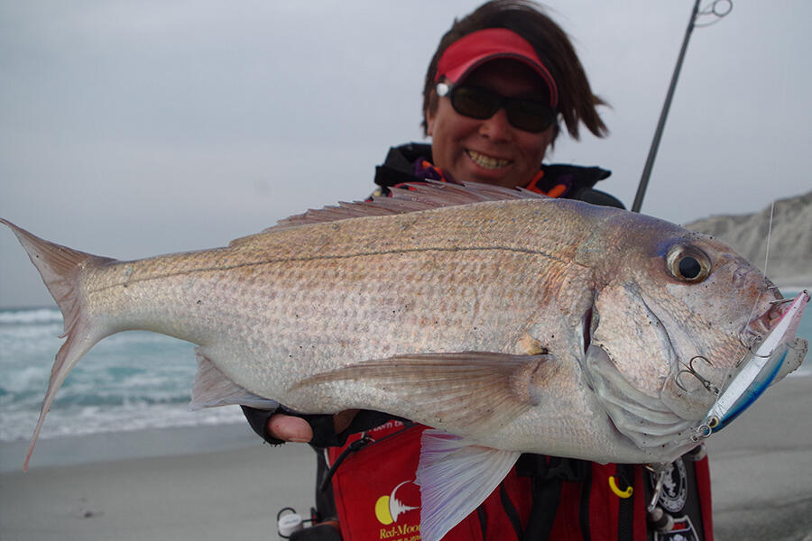 Eradicator Xenomorph BIG CHAP (エラディケーター ゼノモーフ ビッグ