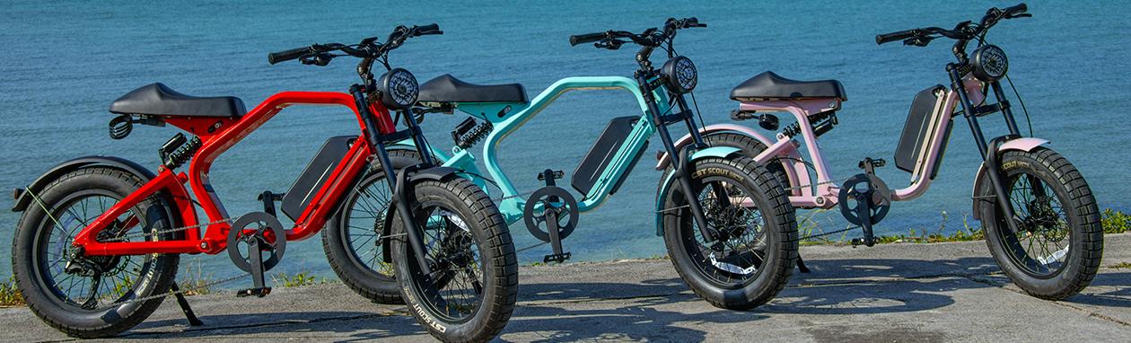 電動アシスト自転車レンタルサービス | 沖縄プリンスホテル オーシャン