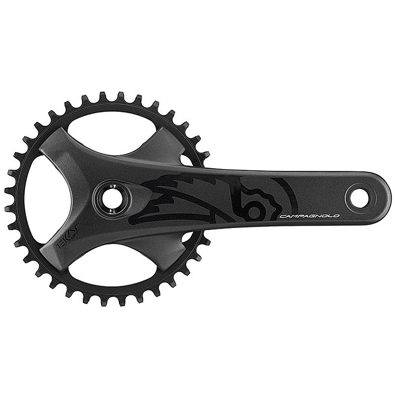 Campagnolo（カンパニョーロ）EKAR GT CRANK （エカルGT クランク）13s