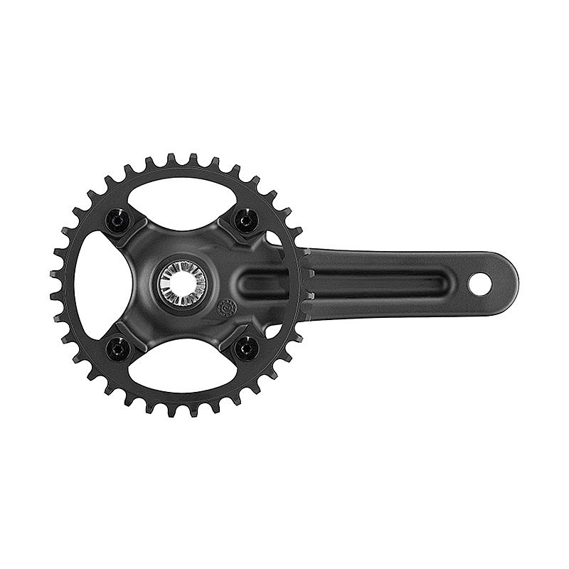 Campagnolo（カンパニョーロ）EKAR GT CRANK （エカルGT クランク）13s