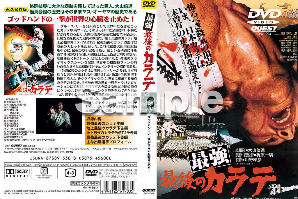 最強最後のカラテ