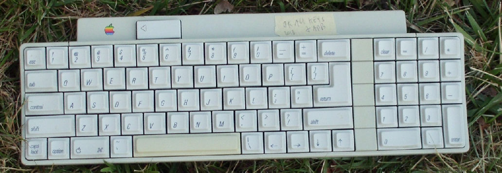 Apple Desktop Bus keyboard A9M0330 658-4081
