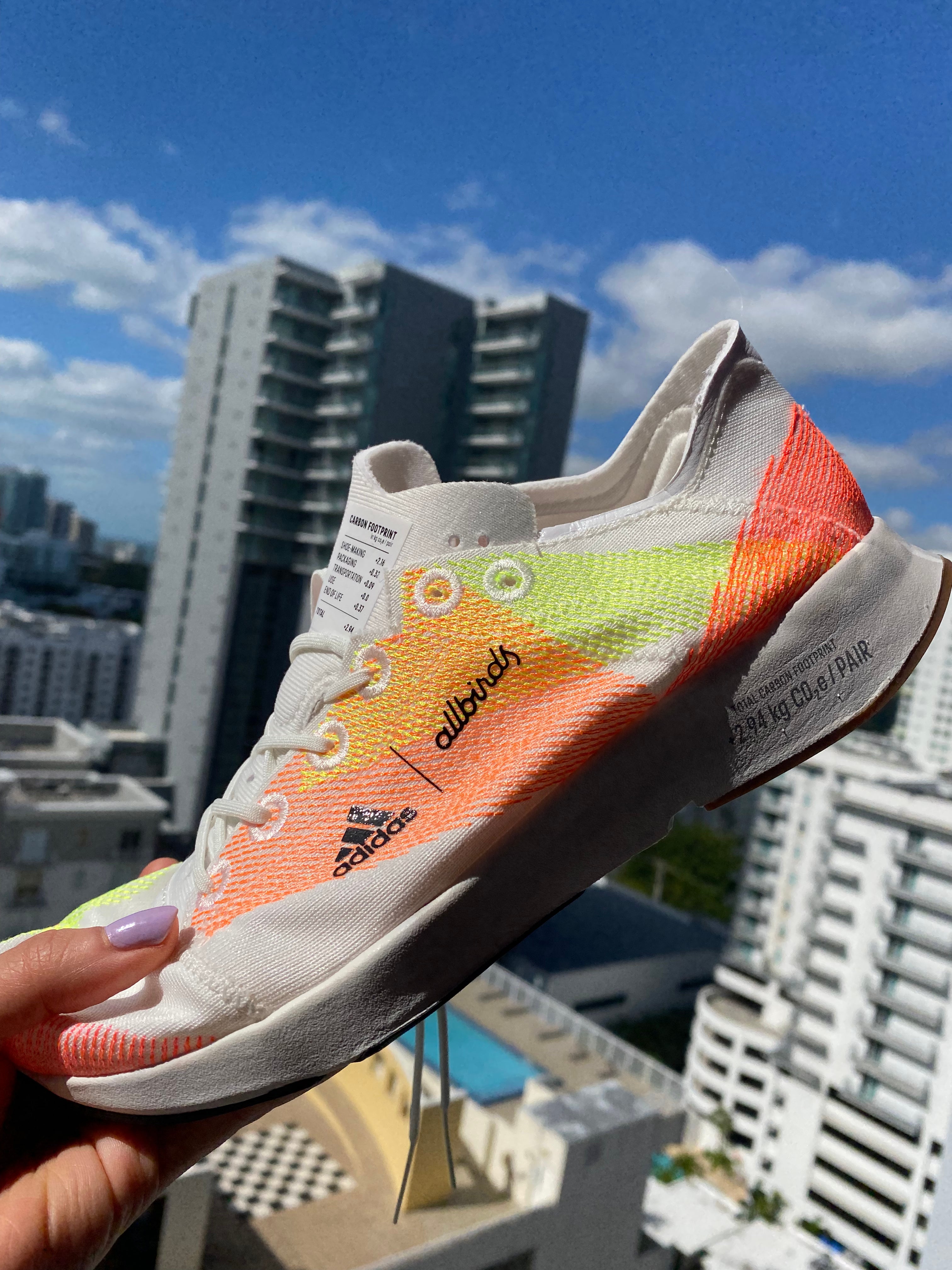 Adidas x Allbirds AdiZero Running Sneaker Review 2022