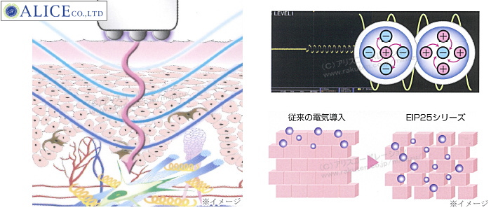正規販売店】エンチーム EIPシリーズ（ボーテポレーション）機器 専用