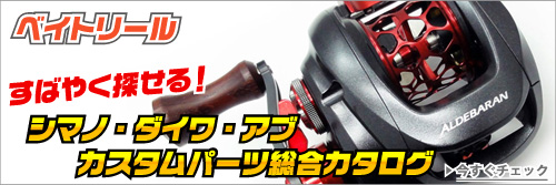 楽天市場】【TRANSCENDENCE/トランスセンデンス】KTX 78B / ケーティー