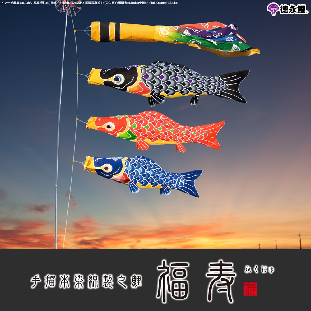 徳永こいのぼり 手描本染綿製之鯉 福寿 | 鯉のぼりの事なら節句専門店