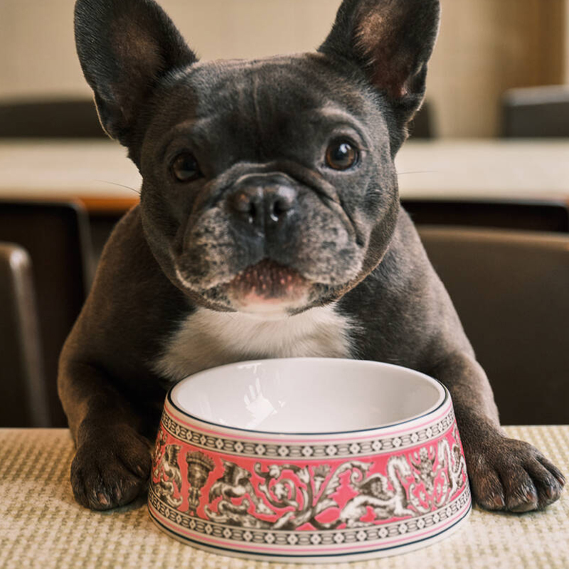 フロレンティーン フューシャ ペットボウル 17cm|WEDGWOOD公式