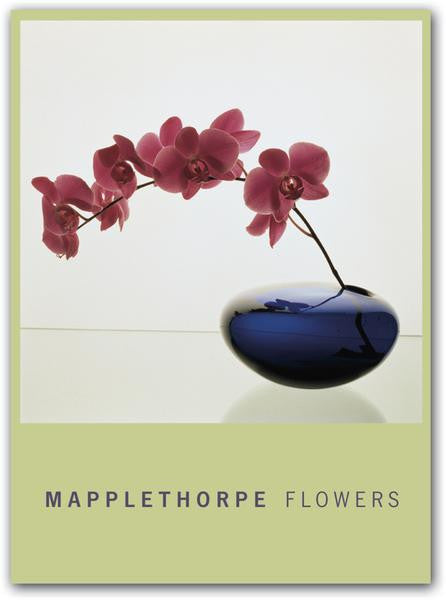Mapplethorpe Flowers Boxed Notecards – Wadsworth Atheneum