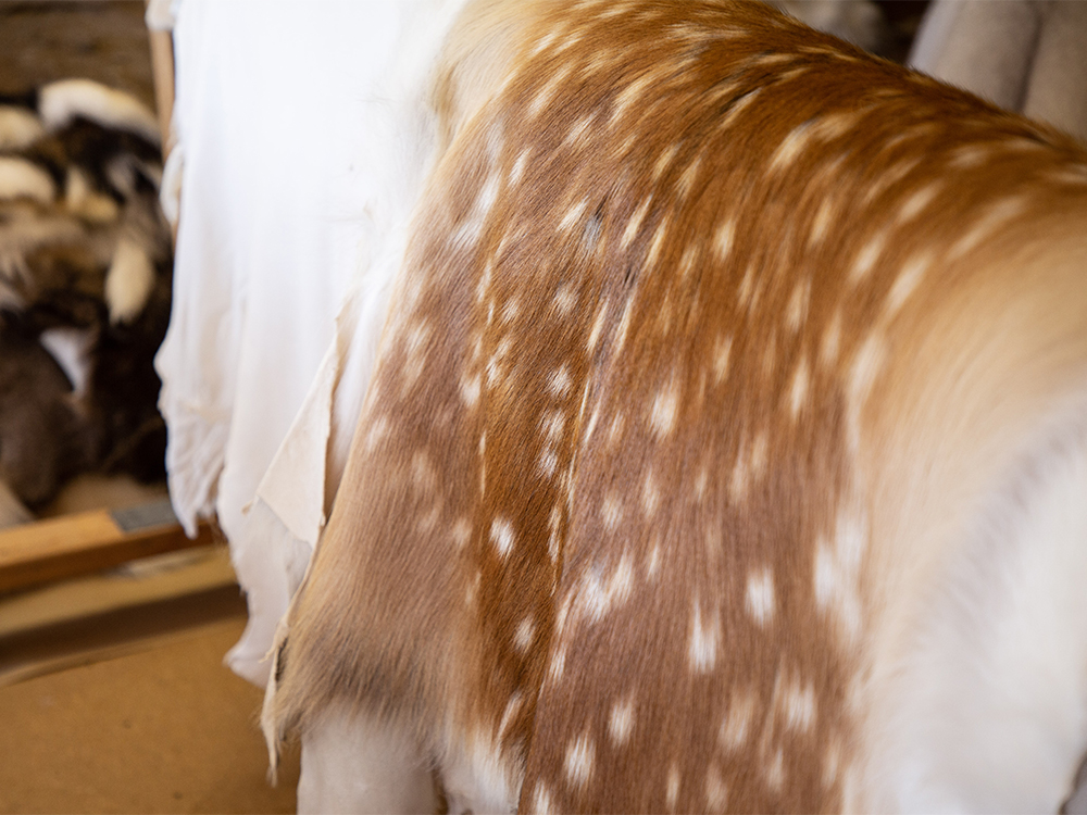 有限会社若松毛皮｜鹿皮について