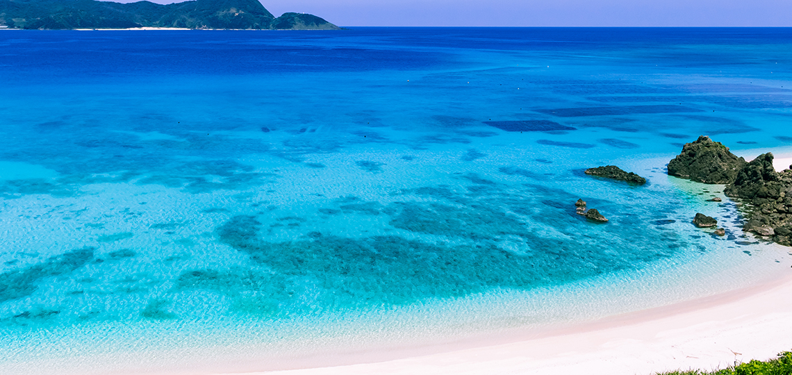 世界自然遺産登録間近！ 奄美大島（鹿児島県） | 旅のひろば